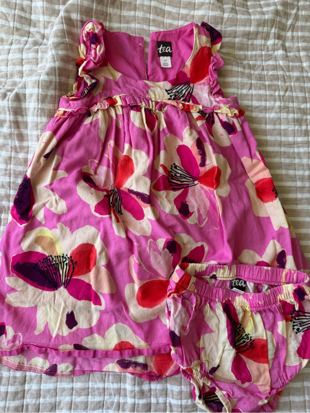 Tea Collection Pink Floral Dress and Bloomers